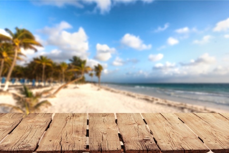 summer background of free spaceの写真素材