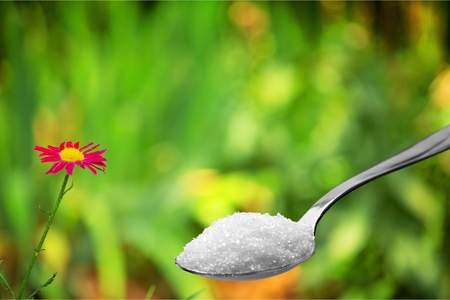 sugar substitute Stevia plant and extract powder on unfocus backgroundの写真素材
