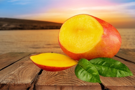 Seamless pattern with mango. Tropical abstract background. Mango on the white background.の写真素材