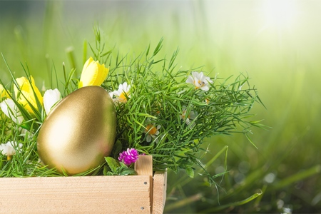 Golden egg on grassの写真素材