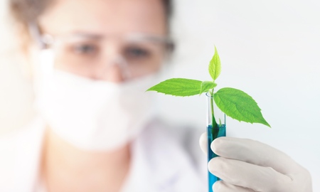 Female medicine doctor hold plantの写真素材