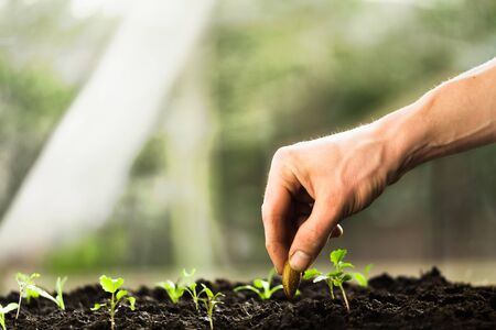 Farmers hand planting a seed in soil
