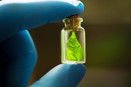 herbal medicine research at science labの写真素材