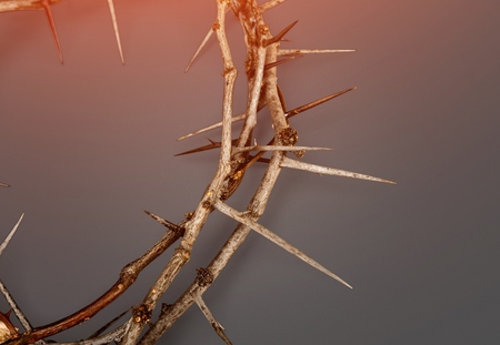 Crown of thorns with blood on canvas symbolic of Jesus Christs suffering on the cross - on art grunge backgroundの写真素材