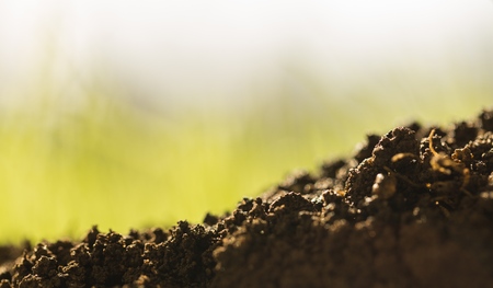 Small pile of soil