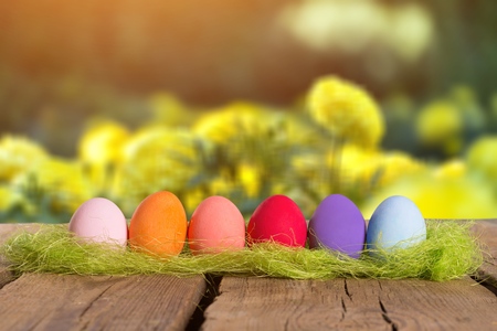 Easter eggs on green grass. Spring holidays concept