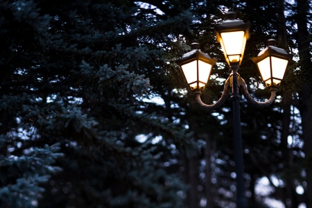 Decorative outdoor string lights hanging on tree in the garden at night timeの写真素材