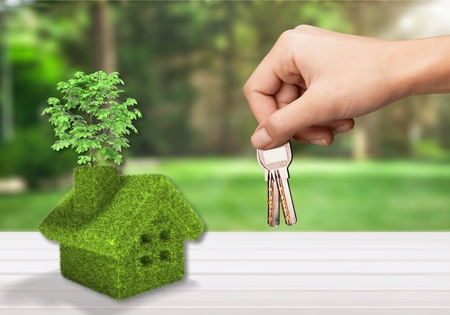 Passing Over the Keys.の写真素材