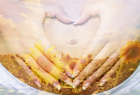 Heart-Shaped Woman Hands on Pregnant Bellyの写真素材