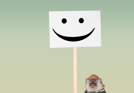 Unhappy monkey workingの写真素材