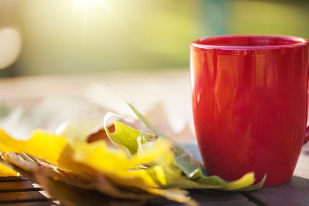 Autumn leaves and  cup with drink.の写真素材