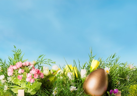 Golden egg on grassの写真素材