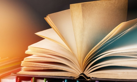 Many books on the shelf at bookstore