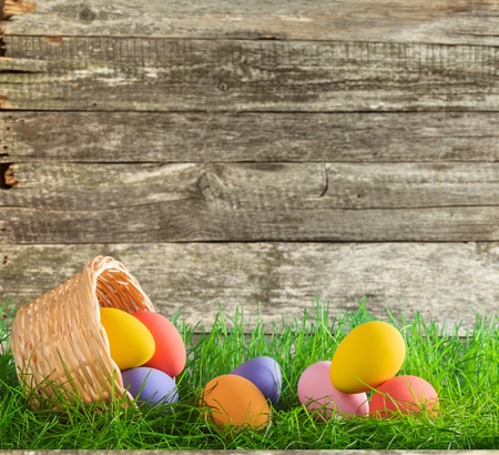 Colorful easter eggs on grass