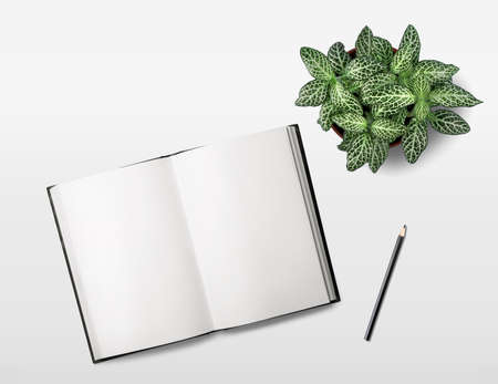 Top view open notebook, pencil and plant potted on white desk background