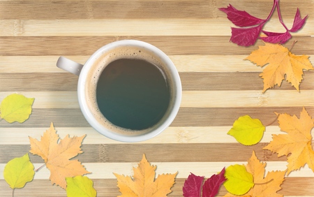 Autumn composition concept