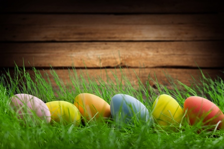 Colorful easter eggs on grass