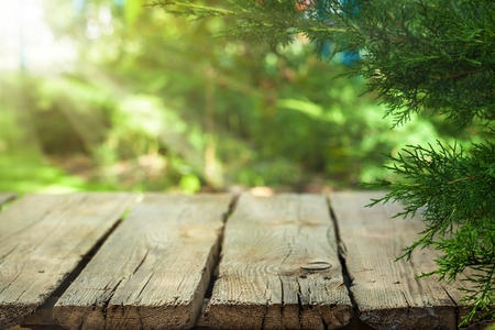 Empty of wood table top on blur of fresh green abstract from garden with sunlight .For montage...