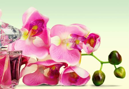 perfume and flowerの写真素材