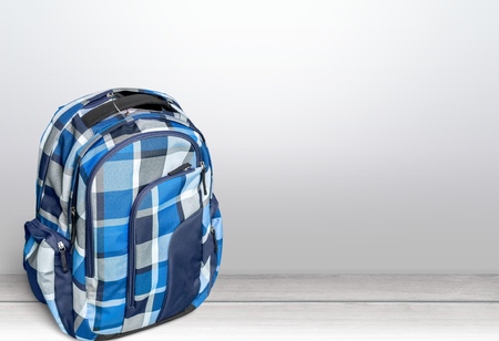 Travel bags and backpacks for leisure activities.