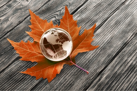 Globe on Leafの写真素材