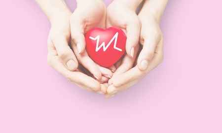 Adult and child hands holiding red heartの写真素材