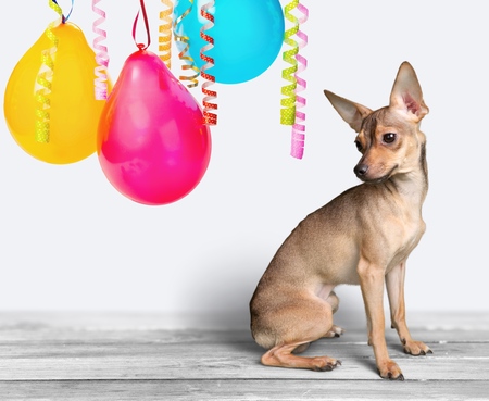 party borderの写真素材