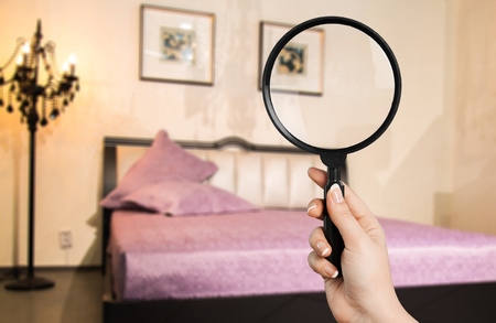 Hand with magnifying glass in the roomの写真素材