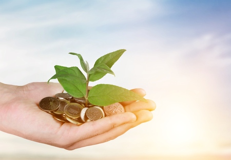 Human hands holds coins and plantの写真素材