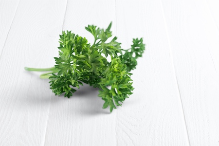 Herb Collectionの写真素材