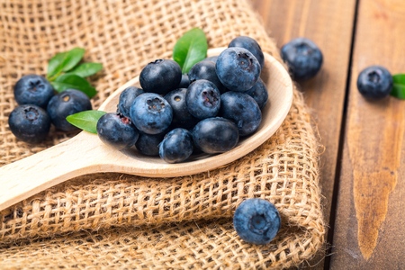 Blueberryの写真素材