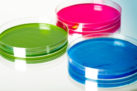 color liquid in petri dishes on grey backgroundの写真素材
