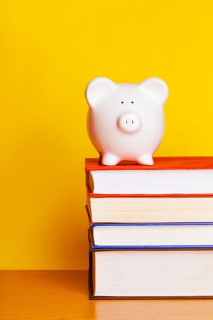 Piggy Bank on Booksの写真素材