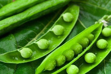 Green Peas in Pods