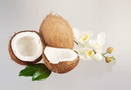 Ripe coconut on colorful backgroundの写真素材
