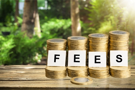 Fees inscription on stacks pf coinsの写真素材