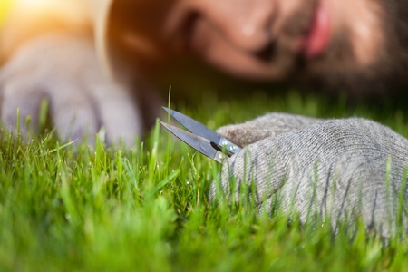 Gardener Trimming Plants. Topiary Work. Passion For Plants Concept Photo.の写真素材
