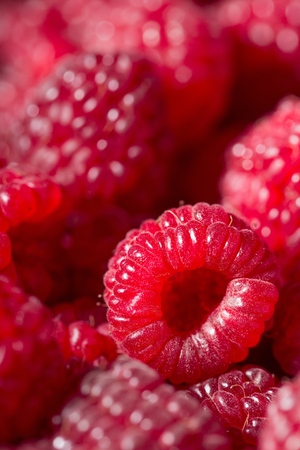 Fresh sweet raspberries close up.の写真素材