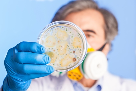 A scientist holding a Petri Dish with Virus and bacteria cells
