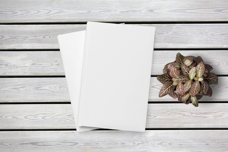 White paper and spaceの写真素材