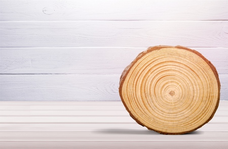 Wood round slice on deskの写真素材