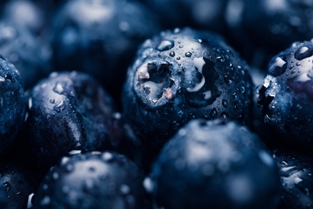 Fresh ripe blueberriesの写真素材