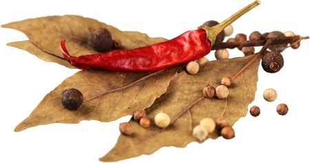 Bunch of Dried Spices - Isolatedの写真素材