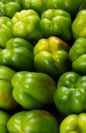 Green bell peppersの写真素材