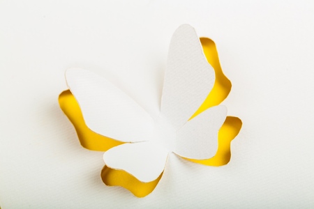 Greeting card with paper butterflyの写真素材