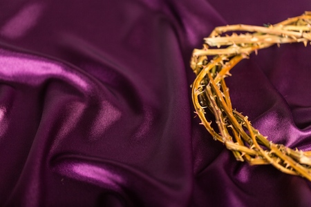 Closeup of the Crown of Thornsの写真素材