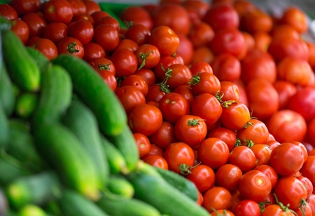 Tomatoes and Cucumbersの写真素材
