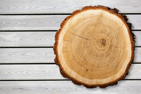 Large circular piece of woodの写真素材