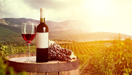 Bottle of wine with grapes on  backgroundの写真素材