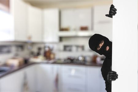 Thiefの写真素材